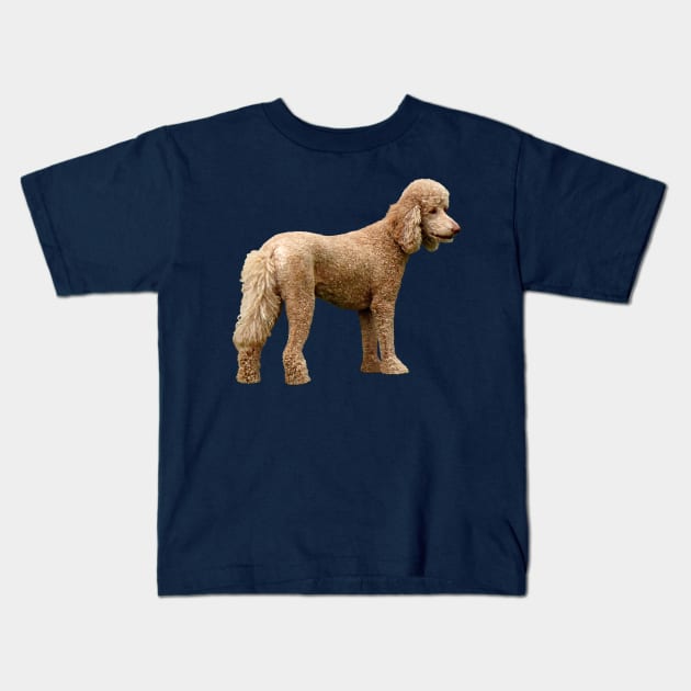 Apricot Poodle Kids T-Shirt by SusanSavad